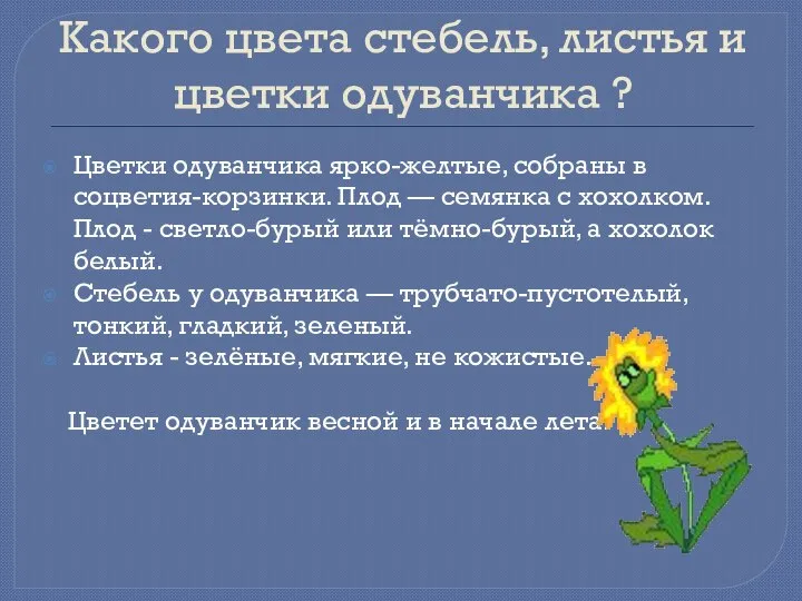 Какого цвета стебель, листья и цветки одуванчика ? Цветки одуванчика ярко-желтые, собраны