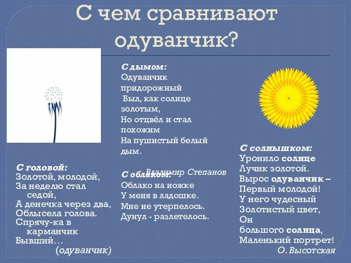 С чем сравнивают одуванчик? С головой: Золотой, молодой, За неделю стал седой,