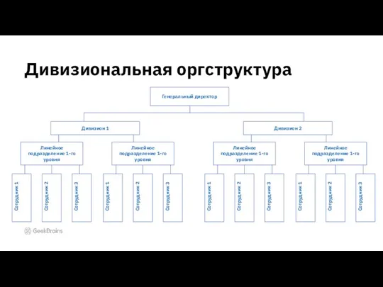 Дивизиональная оргструктура Генеральный директор Дивизион 1 Сотрудник 1 Линейное подразделение 1-го уровня