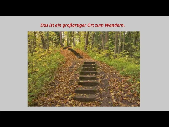 Das ist ein großartiger Ort zum Wandern.