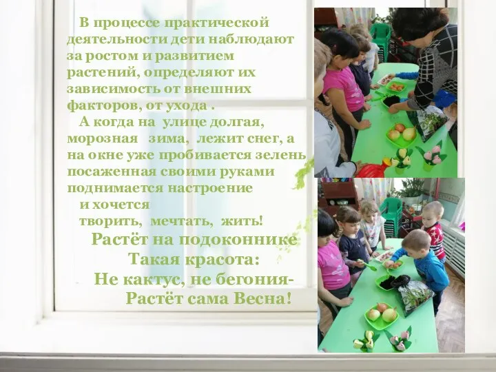 http://www.o-detstve.ru В процессе практической деятельности дети наблюдают за ростом и развитием растений,