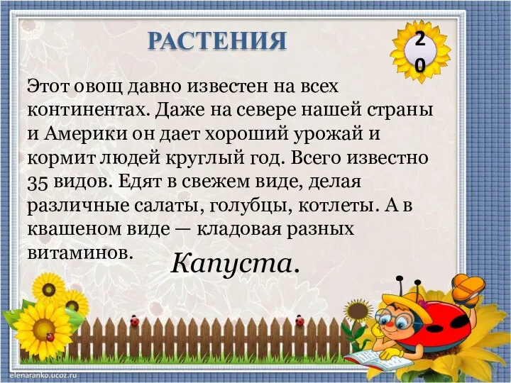 Капуста. Этот овощ давно известен на всех континентах. Даже на севере нашей