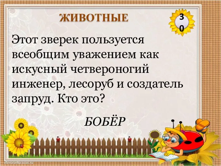 БОБЁР Этот зверек пользуется всеобщим уважением как искусный четвероногий инженер, лесоруб и