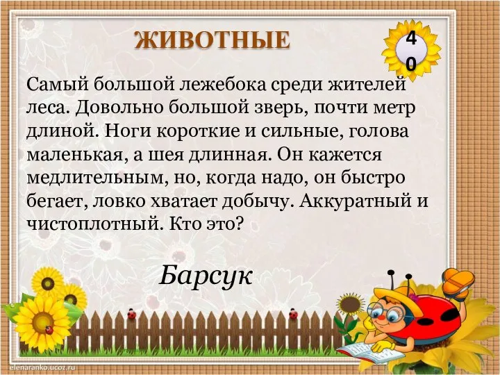 Барсук Самый большой лежебока среди жителей леса. Довольно большой зверь, почти метр