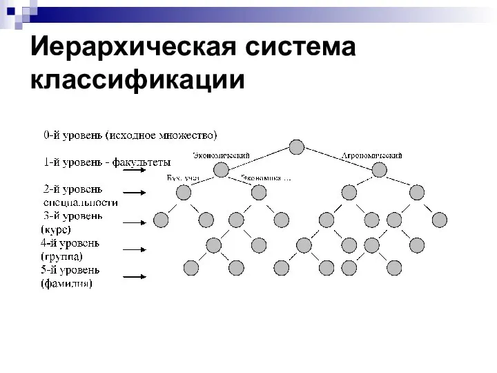 Иерархическая система классификации