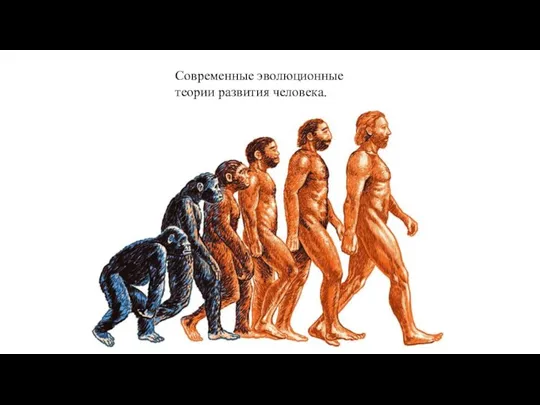 Современные эволюционные теории развития человека.