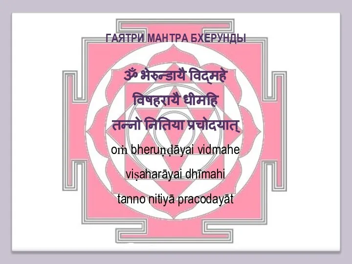 ॐ भेरुन्डायै विद्महे विषहरायै धीमहि तन्नो नितिया प्रचोदयात् oṁ bheruṇḍāyai vidmahe viṣaharāyai