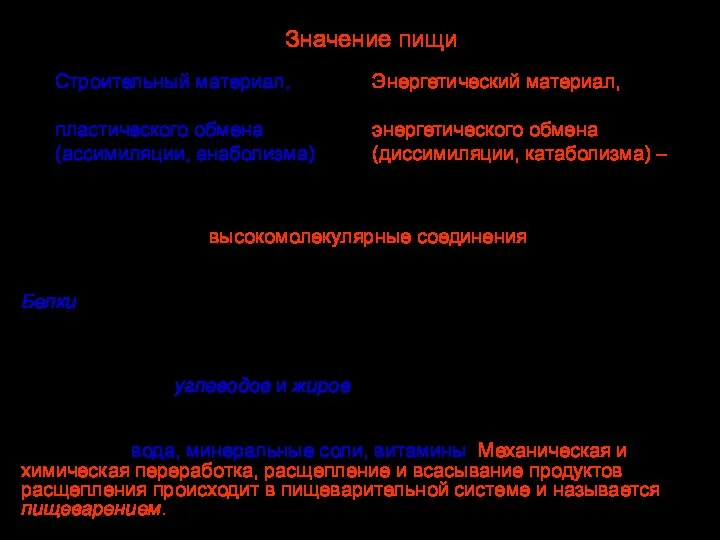 В пище содержатся высокомолекулярные соединения — белки, жиры, углеводы; вещества, богатые энергией