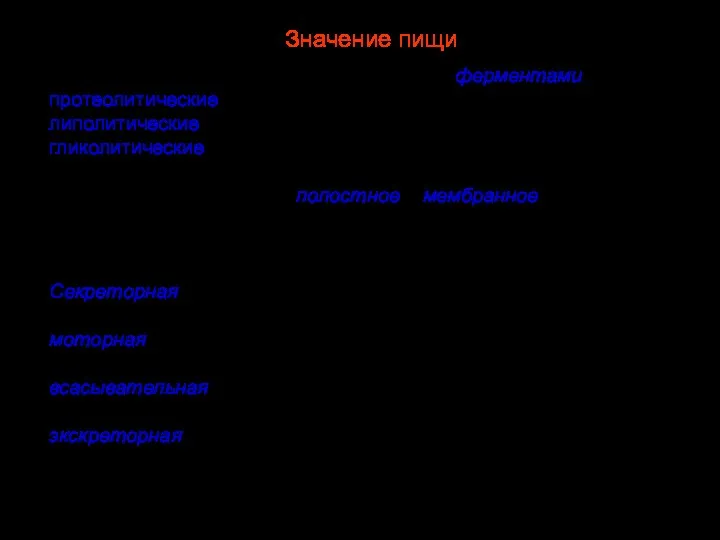 Химическое расщепление осуществляется ферментами, протеолитические ферменты расщепляют белки, липолитические — жиры, гликолитические