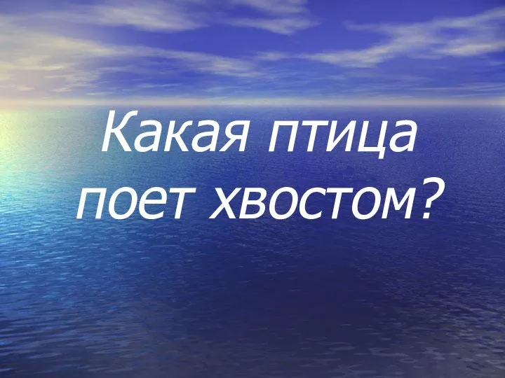 Какая птица поет хвостом?