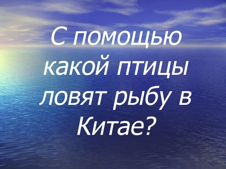 С помощью какой птицы ловят рыбу в Китае?