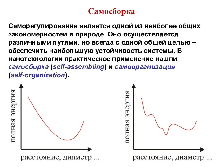 Самосборка Саморегулирование является одной из наиболее общих закономерностей в природе. Оно осуществляется