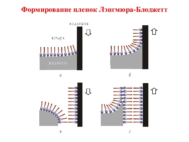 Формирование пленок Лэнгмюра-Блоджетт