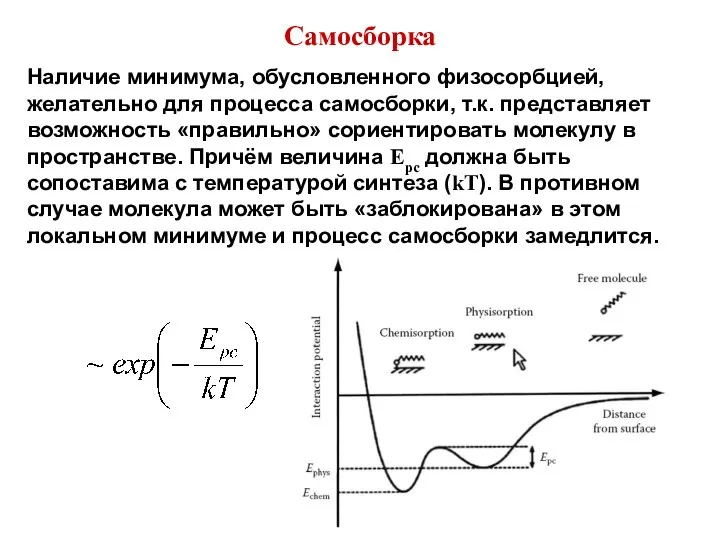 Самосборка Наличие минимума, обусловленного физосорбцией, желательно для процесса самосборки, т.к. представляет возможность