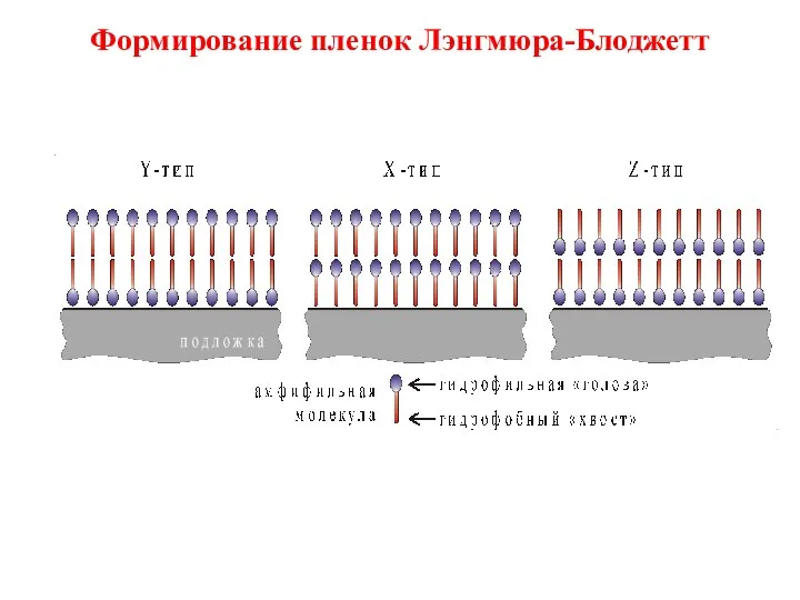 Формирование пленок Лэнгмюра-Блоджетт