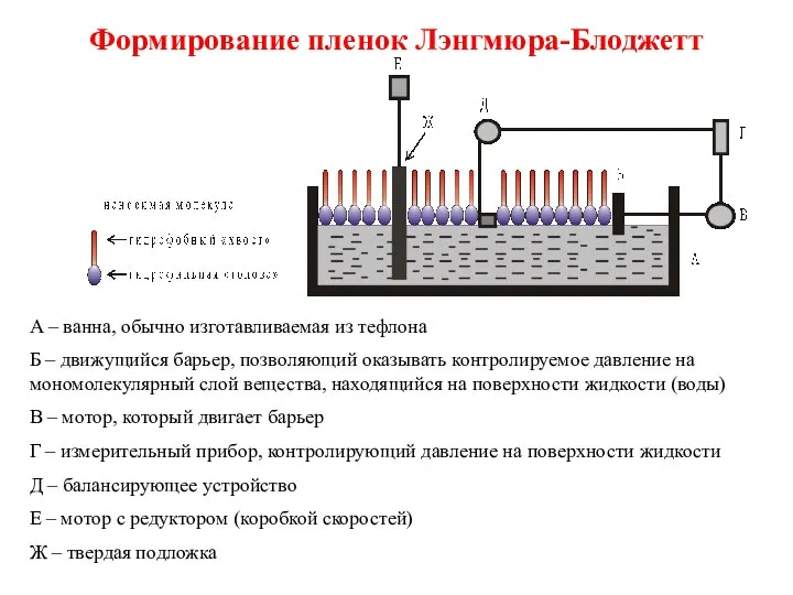 Формирование пленок Лэнгмюра-Блоджетт А – ванна, обычно изготавливаемая из тефлона Б –