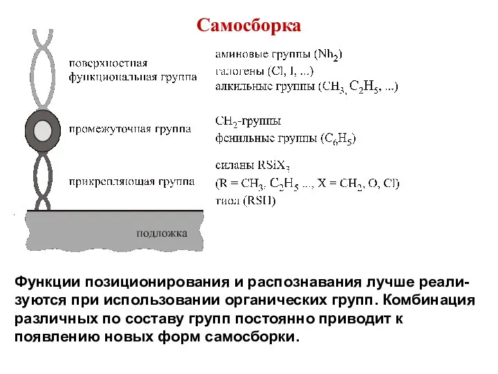 Самосборка Функции позиционирования и распознавания лучше реали-зуются при использовании органических групп. Комбинация