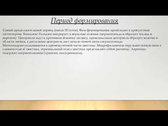 Период формирования Самый продолжительный период (около 50 суток). Фаза формирования происходит в