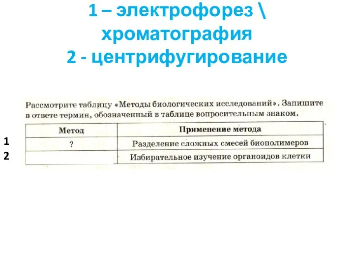 1 – электрофорез \ хроматография 2 - центрифугирование 2 1