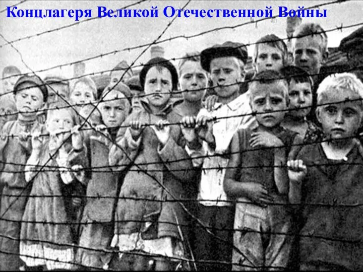 Концлагеря Великой Отечественной Войны