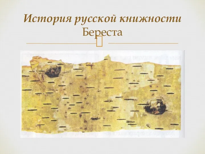 История русской книжности Береста