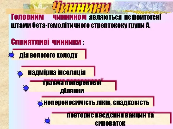 Головним чинником являються нефритогені штами бета-гемолітичного стрептококу групи А. Сприятливі чинники :