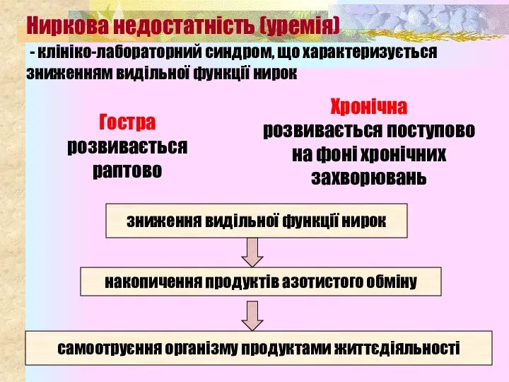 Ниркова недостатність (уремія) - клініко-лабораторний синдром, що характеризується зниженням видільної функції нирок