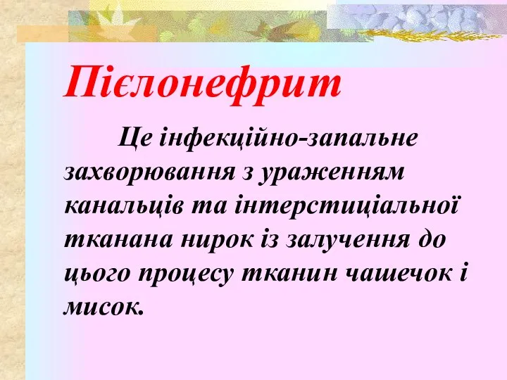 Пієлонефрит Це інфекційно-запальне захворювання з ураженням канальців та інтерстиціальної тканана нирок із