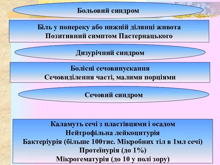 Больовий синдром Біль у попереку або нижній ділянці живота Позитивний симптом Пастернацького