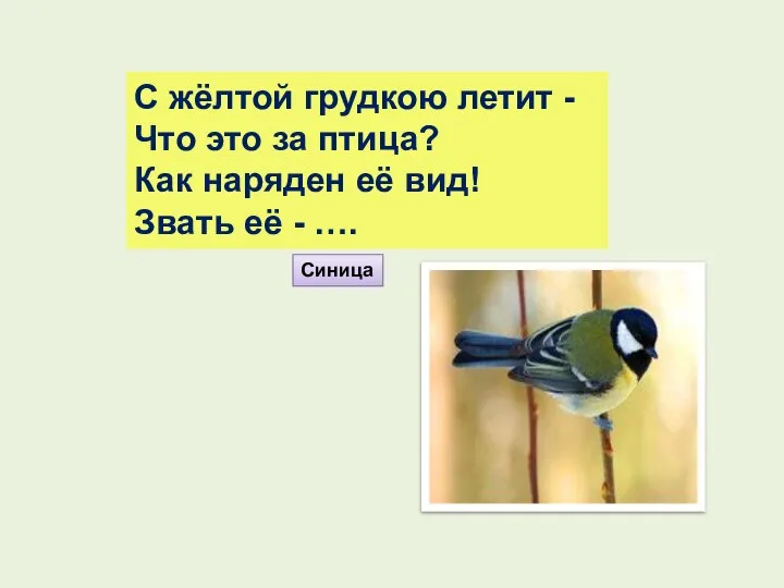 С жёлтой грудкою летит - Что это за птица? Как наряден её