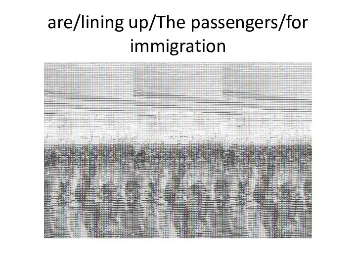 are/lining up/The passengers/for immigration