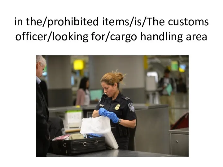 in the/prohibited items/is/The customs officer/looking for/cargo handling area