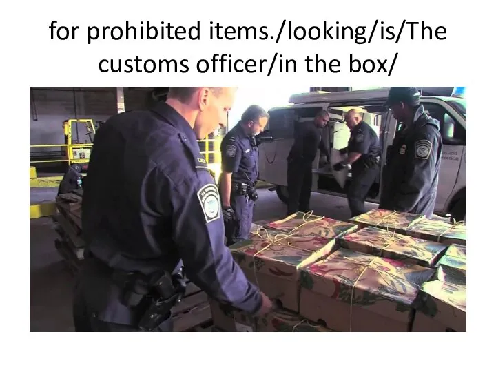 for prohibited items./looking/is/The customs officer/in the box/