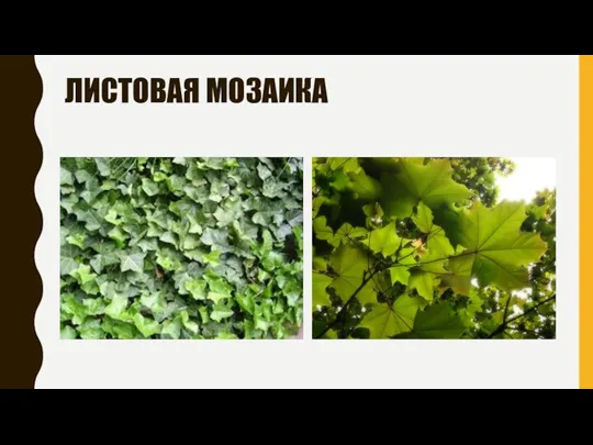 ЛИСТОВАЯ МОЗАИКА