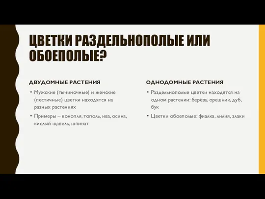 ЦВЕТКИ РАЗДЕЛЬНОПОЛЫЕ ИЛИ ОБОЕПОЛЫЕ? ДВУДОМНЫЕ РАСТЕНИЯ Мужские (тычиночные) и женские (пестичные) цветки