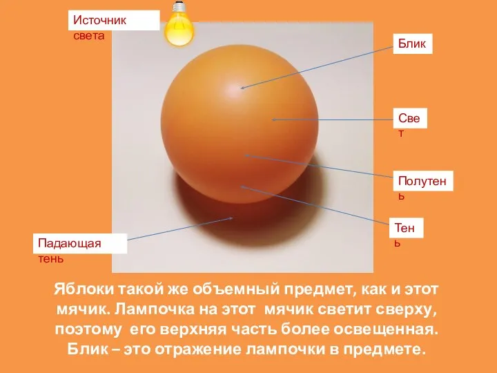 Яблоки такой же объемный предмет, как и этот мячик. Лампочка на этот