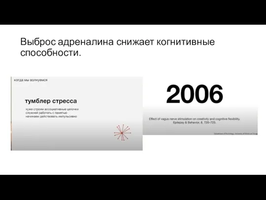 Выброс адреналина снижает когнитивные способности.