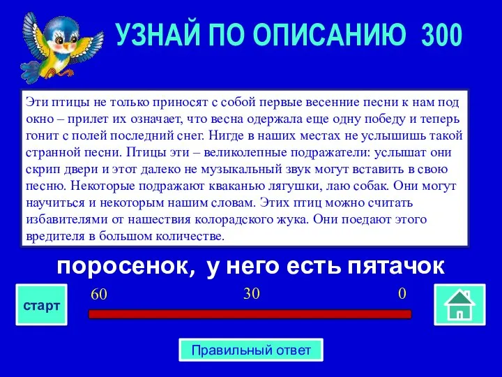 поросенок, у него есть пятачок Эти птицы не только приносят с собой