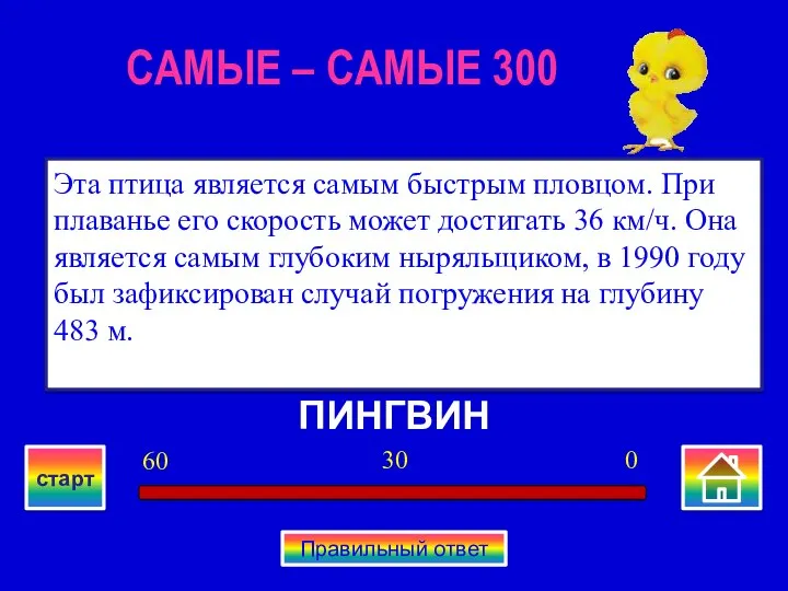 ПИНГВИН Эта птица является самым быстрым пловцом. При плаванье его скорость может