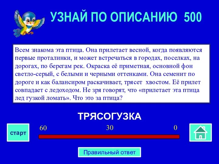 ТРЯСОГУЗКА Всем знакома эта птица. Она прилетает весной, когда появляются первые проталинки,