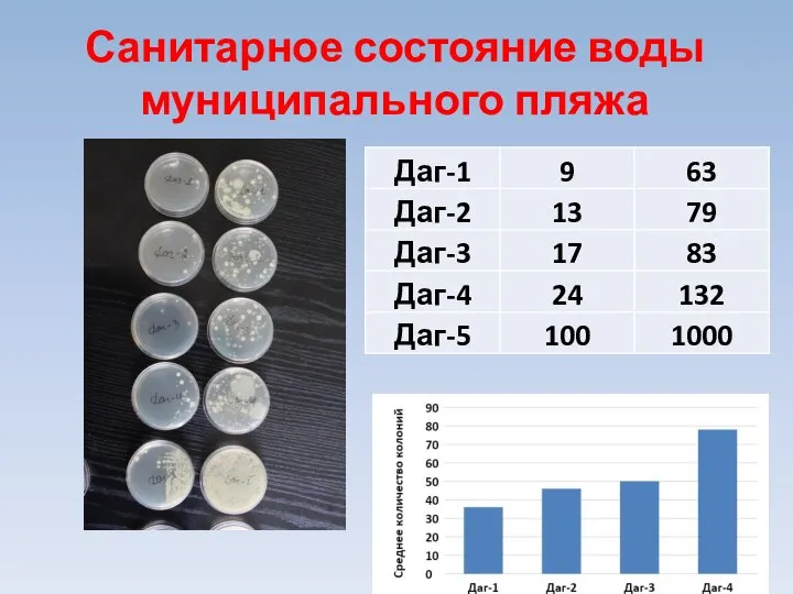 Санитарное состояние воды муниципального пляжа