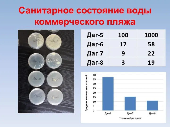 Санитарное состояние воды коммерческого пляжа