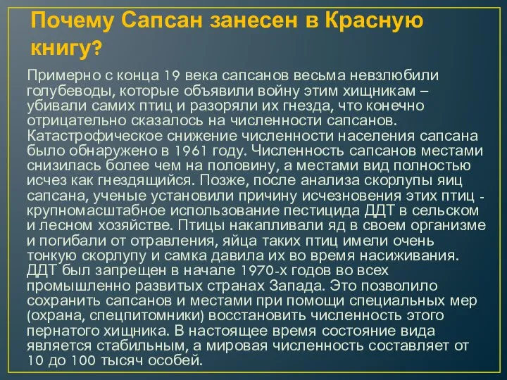 Почему Сапсан занесен в Красную книгу? Примерно с конца 19 века сапсанов