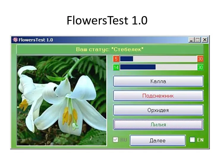 FlowersTest 1.0