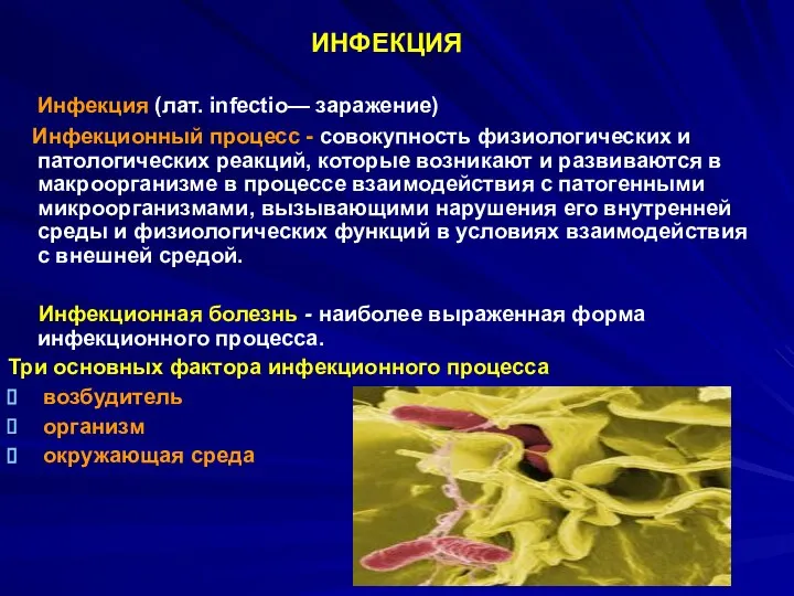 Инфекция (лат. infectio— заражение) Инфекционный процесс - совокупность физиологических и патологических реакций,