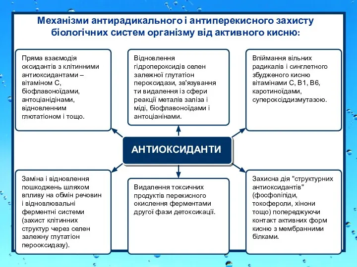 Механізми антирадикального і антиперекисного захисту біологічних систем організму від активного кисню: Пряма