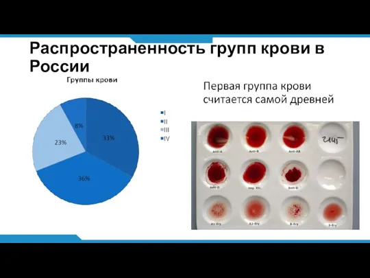 Распространенность групп крови в России