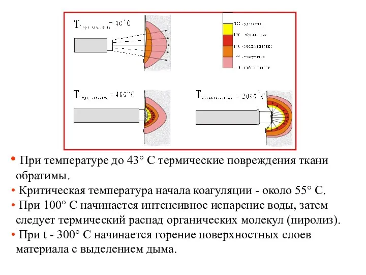 При температуре до 43° С термические повреждения ткани обратимы. Критическая температура начала