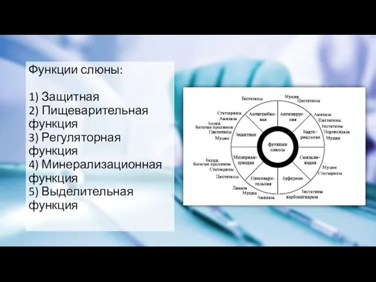 Функции слюны: 1) Защитная 2) Пищеварительная функция 3) Регуляторная функция 4) Минерализационная функция 5) Выделительная функция