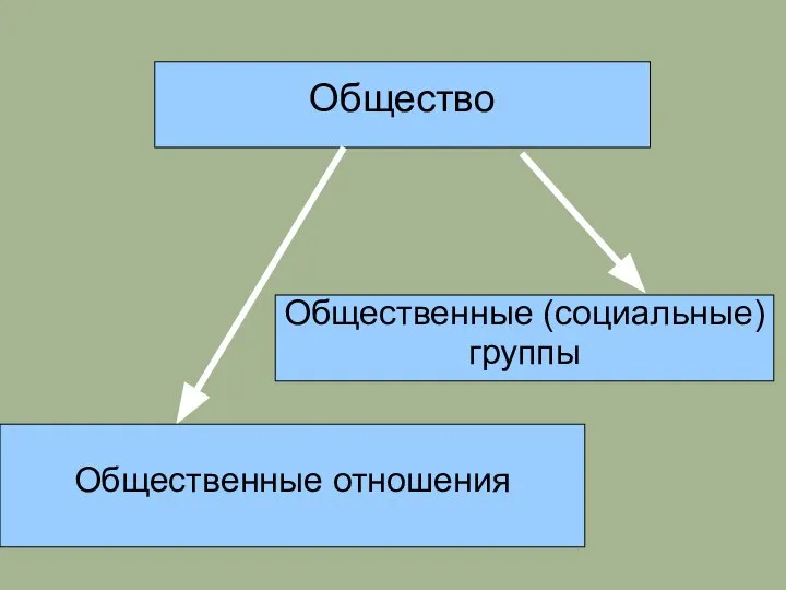 Общество Общественные (социальные) группы Общественные отношения